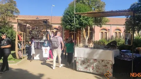 Mercado de Tendencias (16)