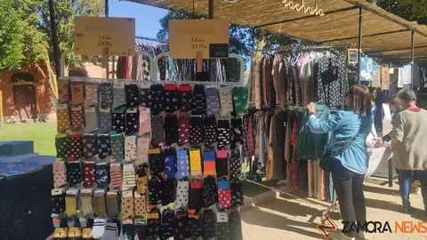 Mercado de Tendencias (17)