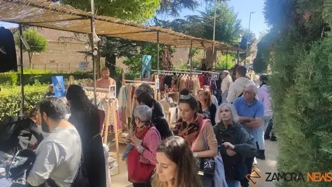 Mercado de Tendencias (18)