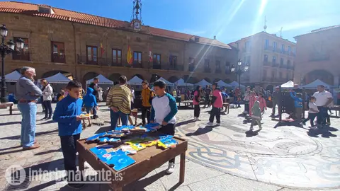 Jornada vía Interbenavente.es