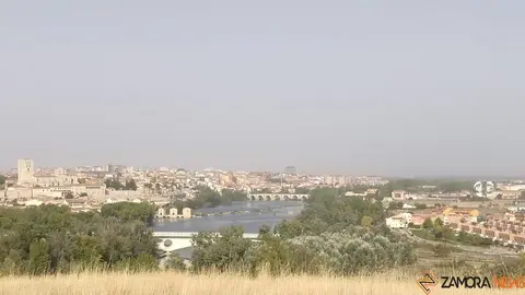 zamora calima