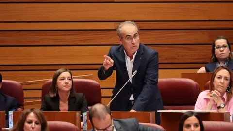 Luis Briones en las Cortes