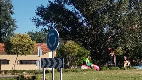 Un operario de Parques y Jardines en el entorno de los Pelambres