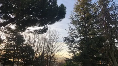 Parque de León Felipe