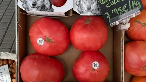 Tomates Sierra de la Culebra