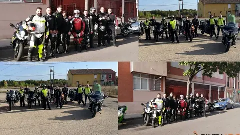 collaje paketorros disidentes