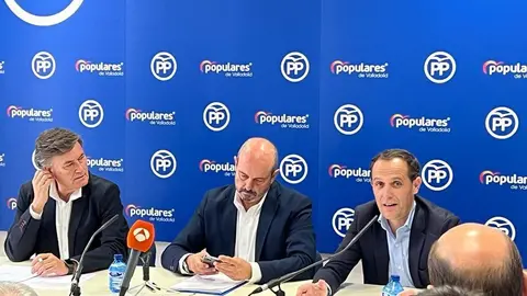 El vicesecretario de Coordinación Autonómica y Local del PP, Pedro Rollán. Fotografía @Conrado_Iscar