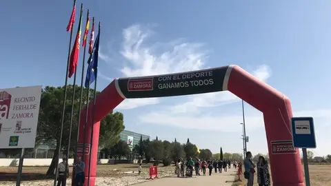Arco de Bienvenida de la Diputación a la Feria Ecocultura en Ifeza