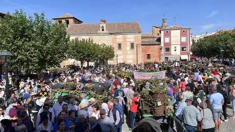 Concurso de Carros Engalanados