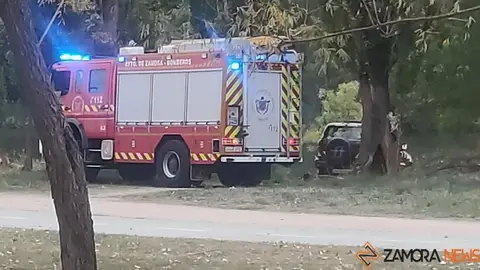 Bomberos participan en la búsqueda