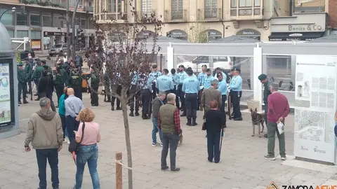 zamora se prepara para la fiesta Nacional4