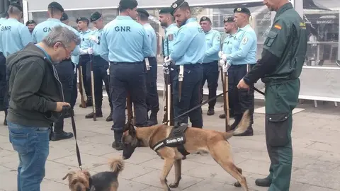 Zamora ensaya para la fiesta Nacional6