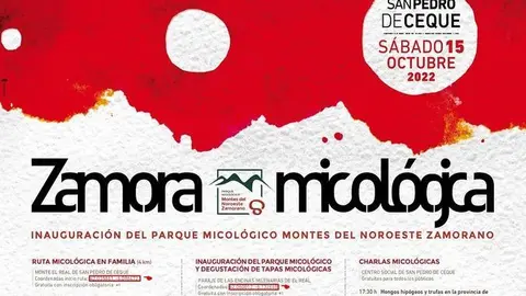 Actividades
