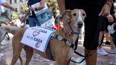 Protesta de entidades y organizaciones animalistas para incluir a los perros de caza en la Ley de Protección Animal. Fotografía: AnimaNaturalis España