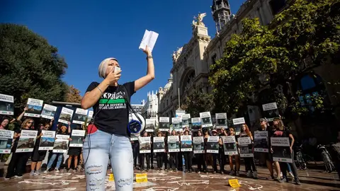 Protesta de entidades y organizaciones animalistas para incluir a los perros de caza en la Ley de Protección Animal. Fotografía: AnimaNaturalis España