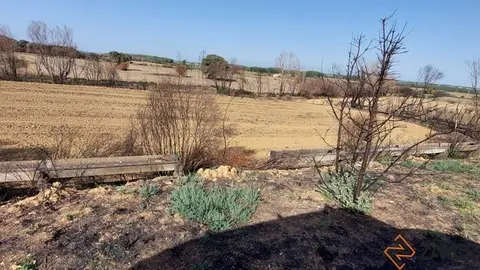 Vista del canal del Tera