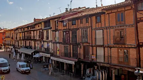 Toro. Fotografía: Turismo Toro