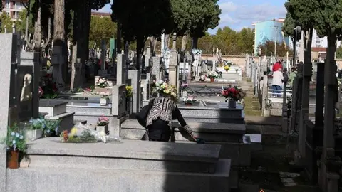 Cementerio Zamora (1)