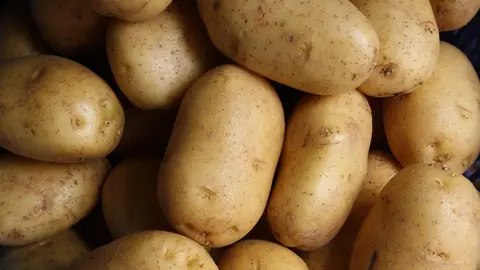 Patatas. Fotografía de archivo