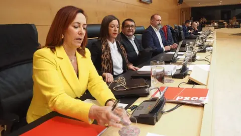 psoe cyl