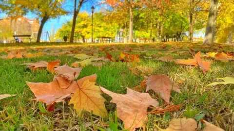 Otoño en Zamora