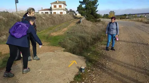 Trabajos de repintado de los 500 km de los Caminos de Santiago por Zamora. Fotografía: Asociación Zamorana de los Caminos de Santiago
