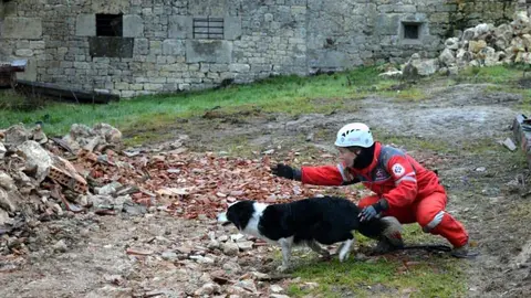 Perro de rescate de UCAS de Arrate