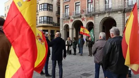 Simpatizantes de VOX en la Plaza Mayor. Fotos Marcos Vicente