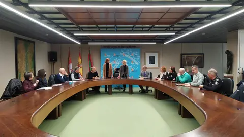 COMISIÓN TERRITORIAL VIOLENCIA GÉNERO
