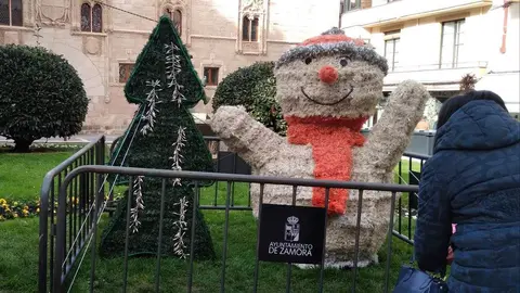 Iluminación navideña en Zamora