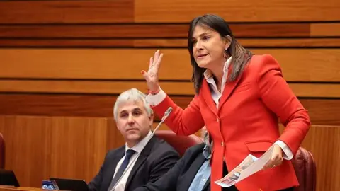 Ana Sánchez ayer en las Cortes