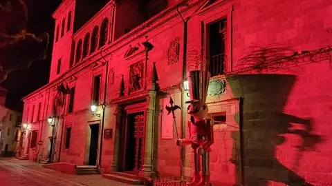 La Diputación de Zamora. iluminada por el Día del Sida