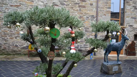 Olivo decorado con motivos navideños a la entrada de la Oficina de Turismo de Villardeciervos