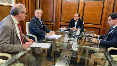 Pleno del Consejo de . imagen de archivo