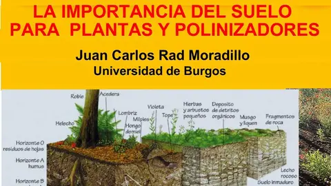 Cartel Polinizadores