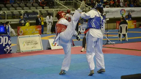 Taekwondo Ternera de Aliste