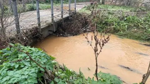 Estado del cauce del arroyo de Valorio