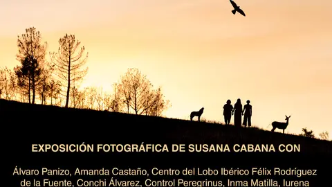 Cartel exposición de Tábara