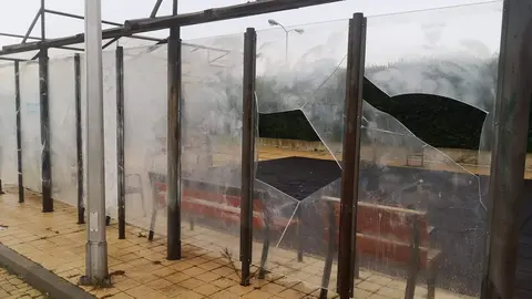 actos vandálicos benavente