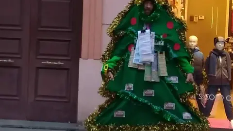lotero navidad zamora
