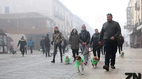 San Perruno en Toro
