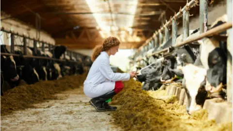 Ganadera. Fotografía de archivo