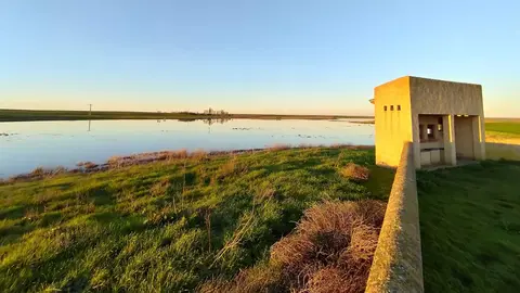 Laguna de villafafila foto jcyl