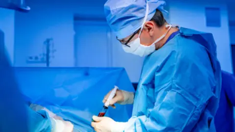 Donación de médula ósea. Fotografía de archivo