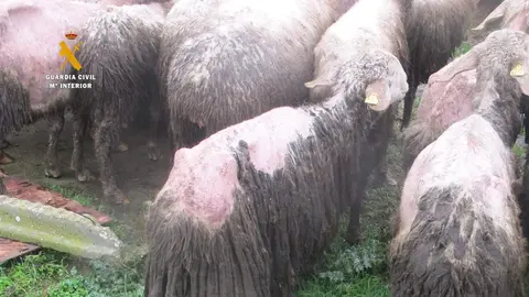 94955C5B-4717-4BD6-9A6F-6CCE00907BA5