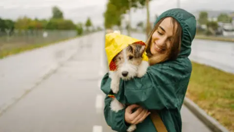 Perrto ataviado en un día de lluvia