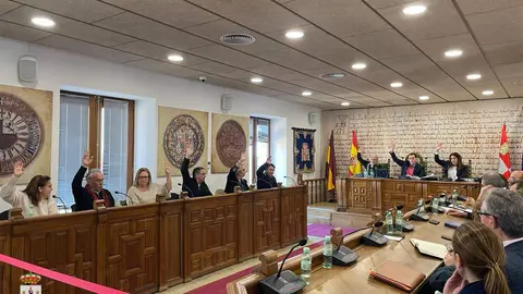 Pleno Ayuntamiento de Benavente