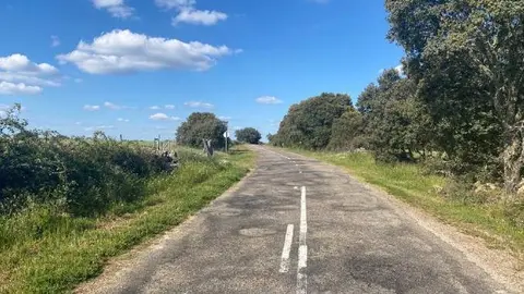 Estado de la carretera ZA-L-2218, en el tramo comprendido entre Fariza de Sayago y Mámoles