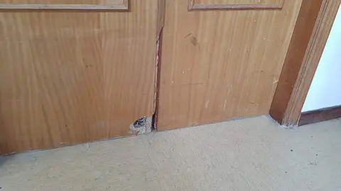 Denuncia obra en las escuelas