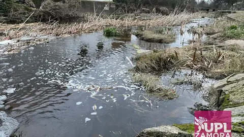 Upl denuncia Almeida de Sayago